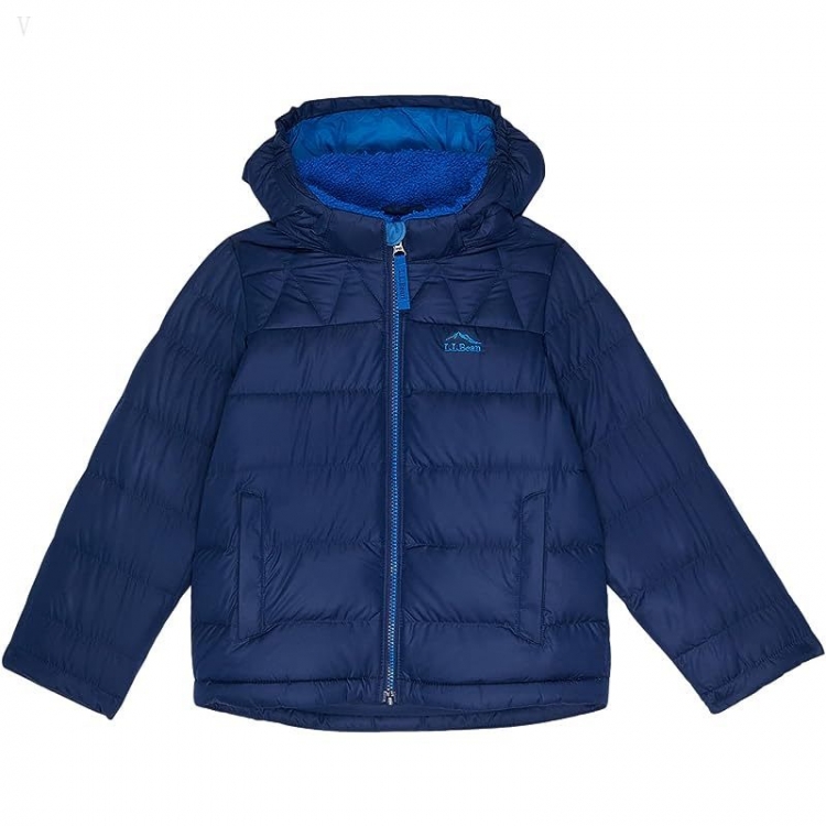 L.L.Bean Bean's Down Jackets (Little Kids) Night ID-aIT4H9Aw - Click Image to Close