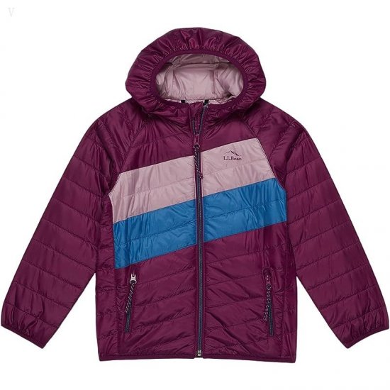 L.L.Bean Primaloft Packaway Hooded Color-Block Jacket (Little Kids) Dark Mulberry/Light Mauve ID-xFVdQcwC