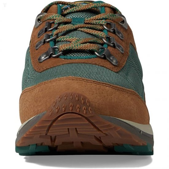 L.L.Bean Mountain Classic Hiker Low Toasted Coconut/Light Everglade ID-G72sykCw