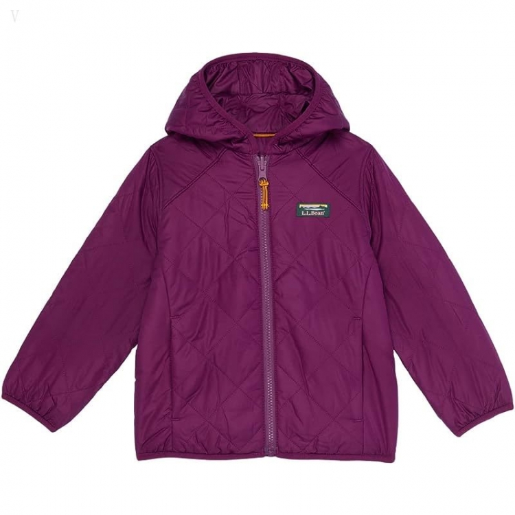 L.L.Bean Mountain Bound Reversible Hooded Jacket (Toddler) Plum Grape/Magenta Haze ID-qRUXy4Zf - Click Image to Close