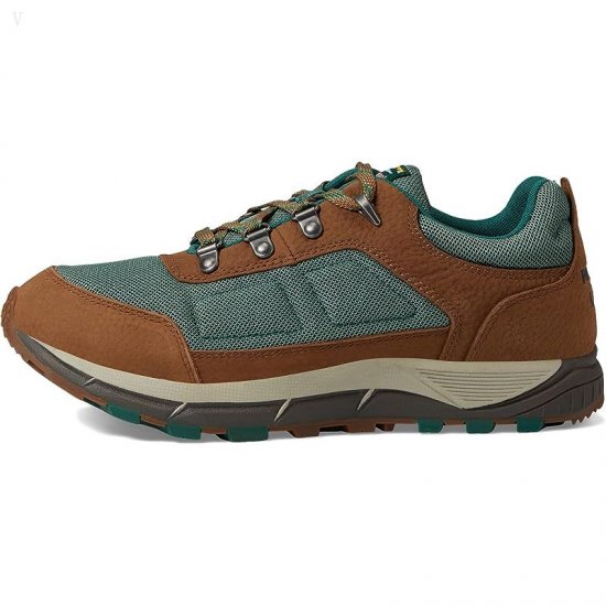 L.L.Bean Mountain Classic Hiker Low Toasted Coconut/Light Everglade ID-G72sykCw