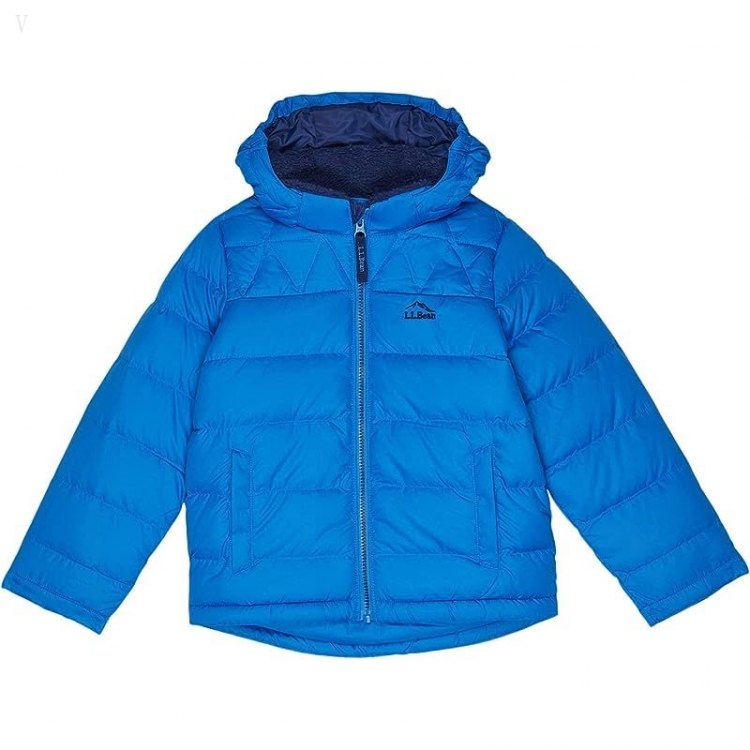 L.L.Bean Bean's Down Jackets (Little Kids) Cobalt Sea ID-OxrHikt4 - Click Image to Close