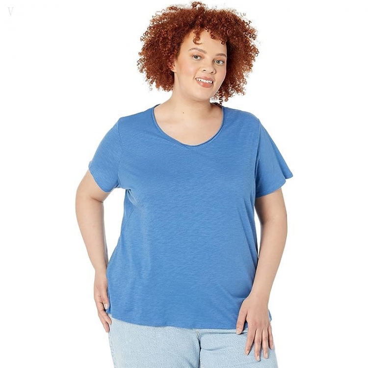 L.L.Bean Plus Size Organic Cotton V-Neck Tee Short Sleeve Rustic Blue ID-25jDTycC - Click Image to Close