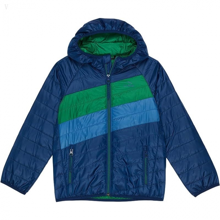 L.L.Bean Primaloft Packaway Hooded Color-Block Jacket (Little Kids) Collegiate Blue/Lawn Green ID-U503c49M - Click Image to Close