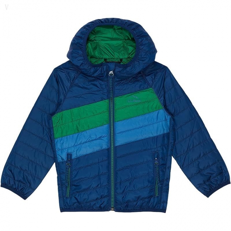 L.L.Bean Primaloft Packaway Hooded Color-Block Jacket (Toddler) Collegiate Blue/Lawn Green ID-XITU38Wl - Click Image to Close