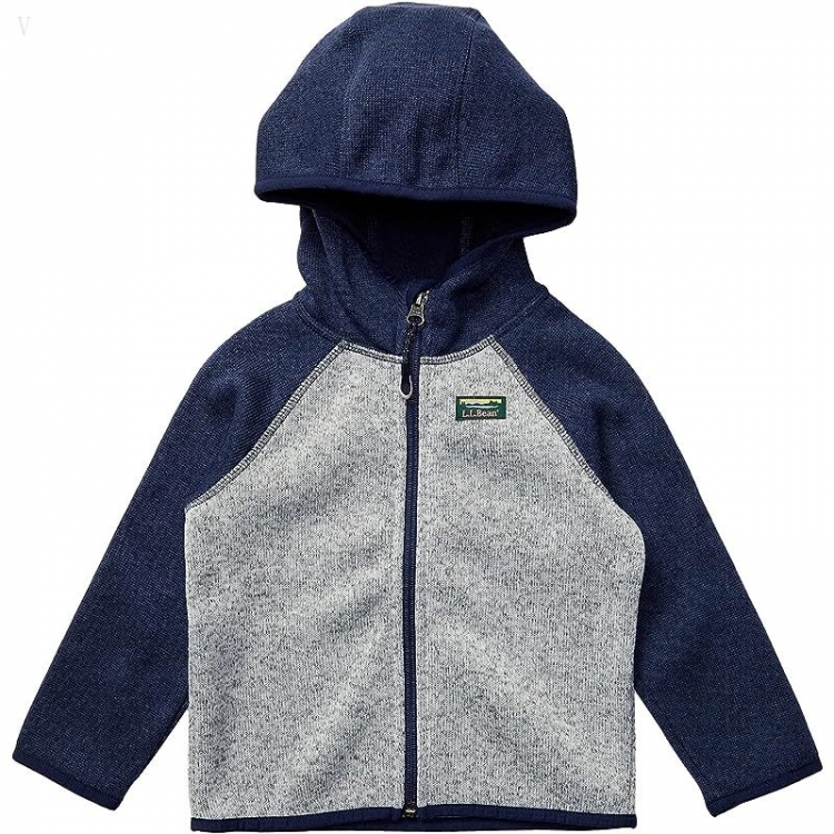 L.L.Bean Bean's Sweater Fleece Full Zip Color-Block (Toddler) Bright Navy/Pewter ID-IHfCVkPt - Click Image to Close