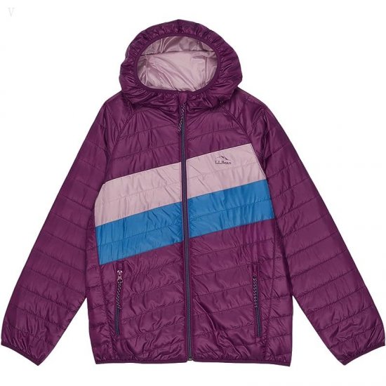 L.L.Bean Primaloft Packaway Hooded Color-Block Jacket (Big Kids) Dark Mulberry/Light Mauve ID-g8IhfzjM