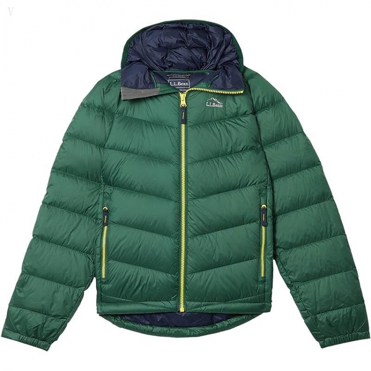 L.L.Bean Ultralight 650 Down Jacket (Big Kids) Camp Green ID-P1x9Caq3 - Click Image to Close