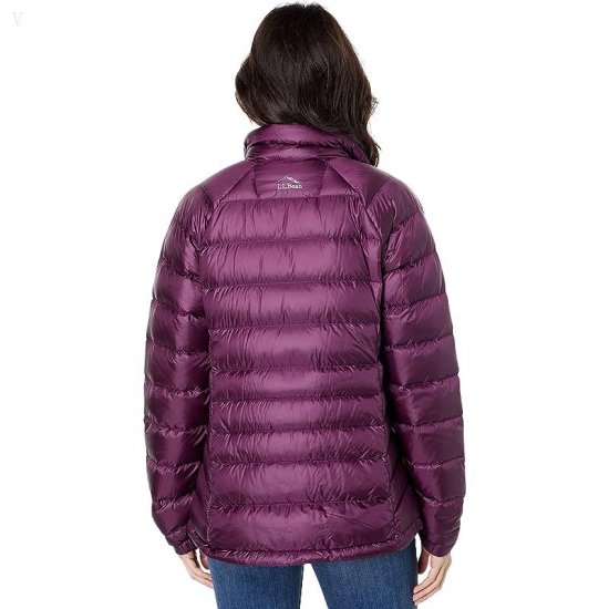 L.L.Bean Ultralight 850 Down Jacket Royal Plum ID-gRKZzCDi