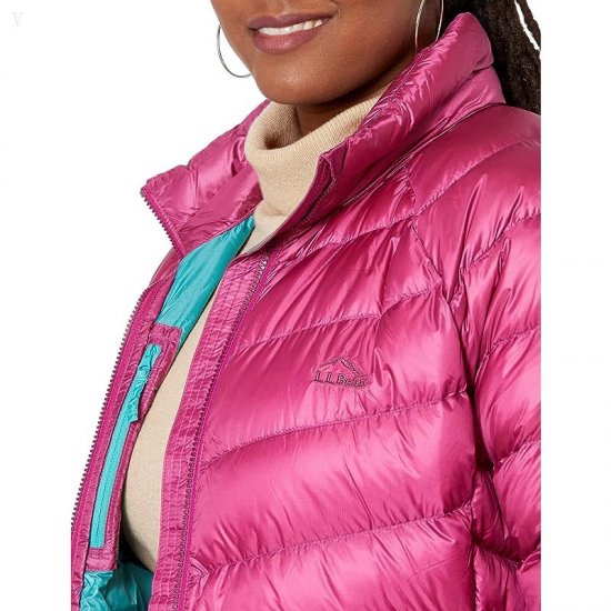 L.L.Bean Plus Size Ultralight 850 Down Jacket Sugarplum ID-KyiSoPZo