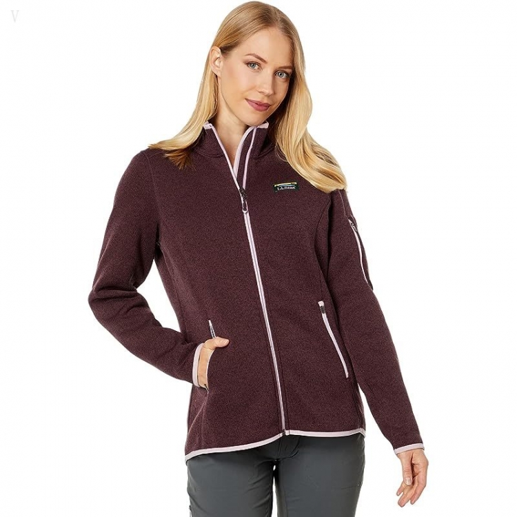 L.L.Bean Sweater Fleece Full Zip Jacket Raisin Brown ID-5JhzpVKB - Click Image to Close