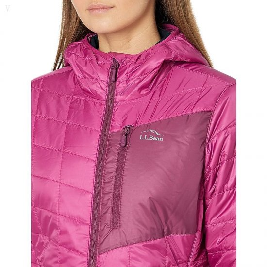 L.L.Bean Petite Primaloft Packaway Jacket Sugarplum/Bramble Berry ID-Li24Ncbk