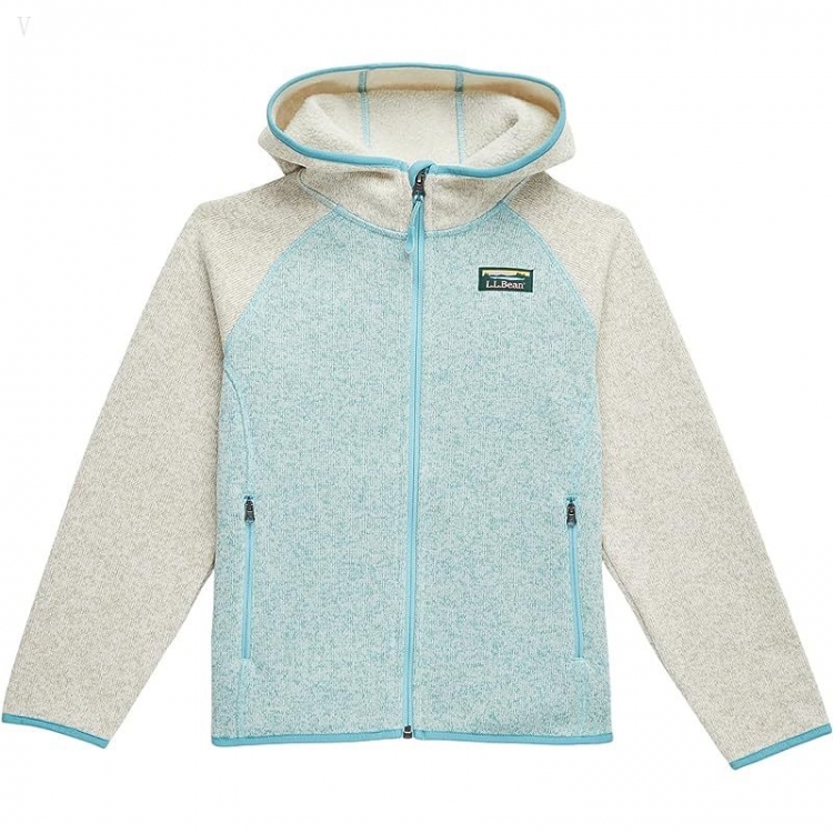 L.L.Bean Bean's Sweater Fleece Hooded Color-Block (Big Kids) Sailcloth/Light Mint ID-TZOXyUZy - Click Image to Close