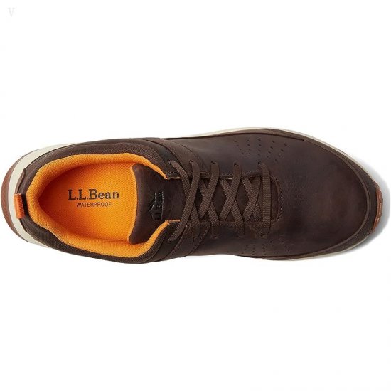 L.L.Bean Trailfinder Water Resistant Hiker Low Dark Earth/Black ID-YpipKIL4