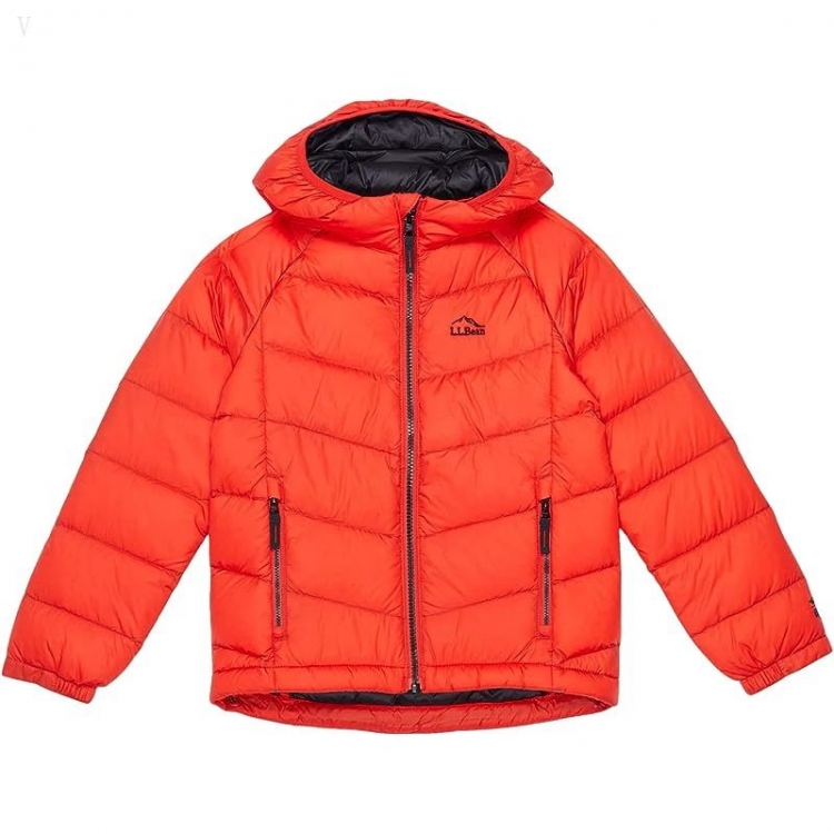 L.L.Bean Ultralight 650 Down Jacket (Little Kids) Vibrant Red ID-0UDFjgXj - Click Image to Close