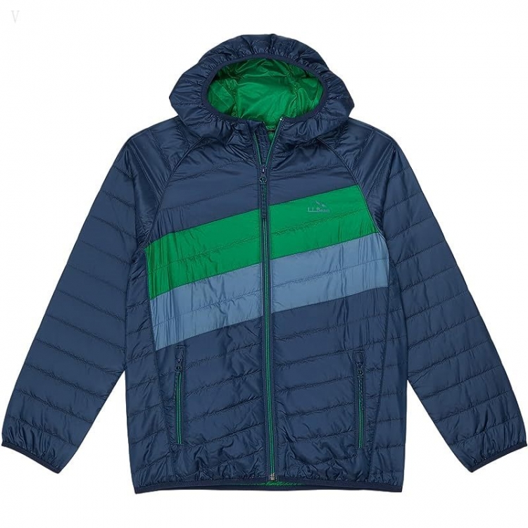 L.L.Bean Primaloft Packaway Hooded Color-Block Jacket (Big Kids) Collegiate Blue/Lawn Green ID-9gUxCBzy - Click Image to Close