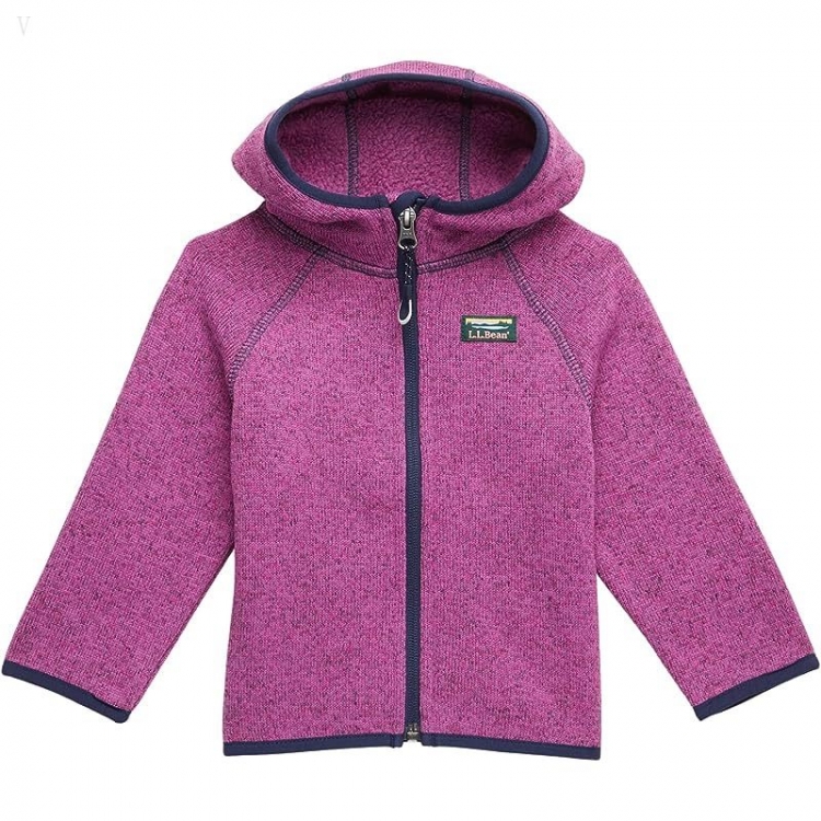 L.L.Bean Bean's Sweater Fleece Full Zip (Infant) Dark Mulberry ID-ujrVJaBa - Click Image to Close