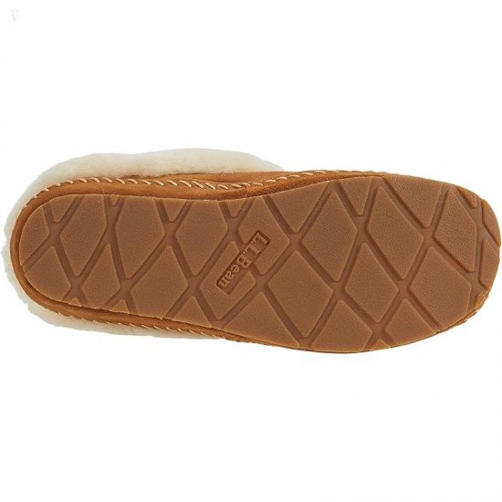 L.L.Bean Wicked Good Slippers Squam Lake Brown ID-2LZTcyCb