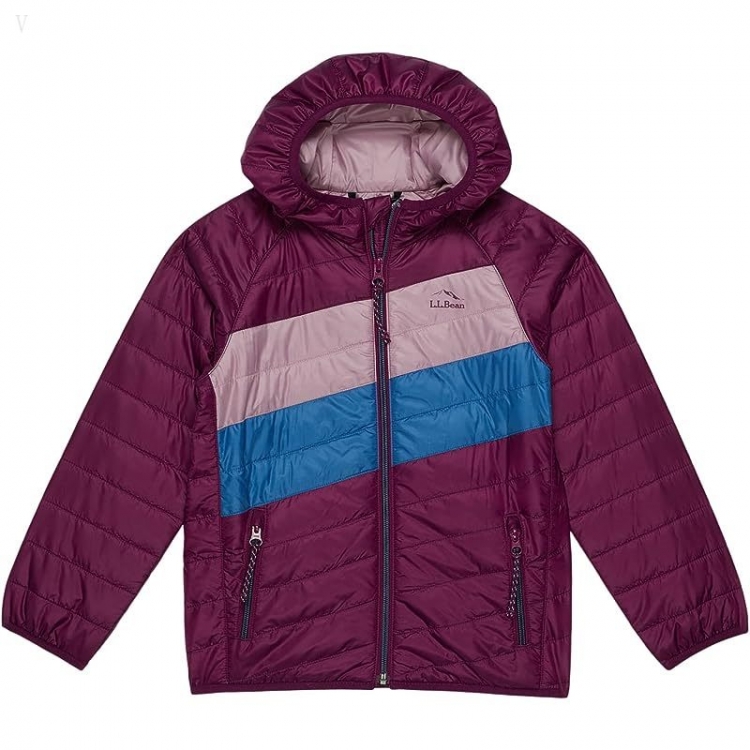 L.L.Bean Primaloft Packaway Hooded Color-Block Jacket (Little Kids) Dark Mulberry/Light Mauve ID-xFVdQcwC - Click Image to Close