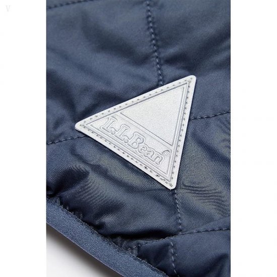 L.L.Bean Mountain Bound Reversible Hooded Jacket (Little Kids) Carbon Navy/Soapstone ID-2UICSshY