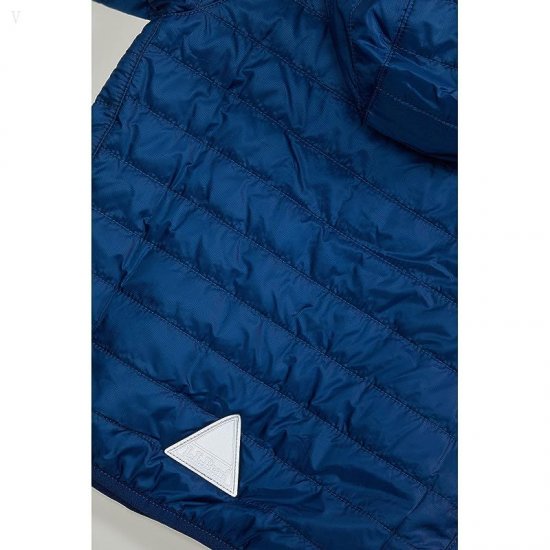 L.L.Bean Primaloft Packaway Hooded Color-Block Jacket (Toddler) Collegiate Blue/Lawn Green ID-XITU38Wl