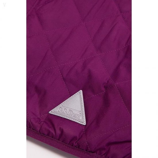 L.L.Bean Mountain Bound Reversible Hooded Jacket (Toddler) Plum Grape/Magenta Haze ID-qRUXy4Zf