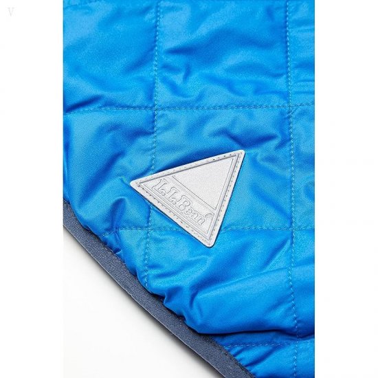 L.L.Bean Mountain Bound Reversible Hooded Jacket (Big Kids) Deep Sapphire/Carbon Navy ID-4VDMKjlv