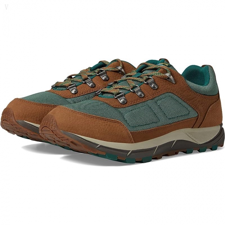 L.L.Bean Mountain Classic Hiker Low Toasted Coconut/Light Everglade ID-G72sykCw - Click Image to Close