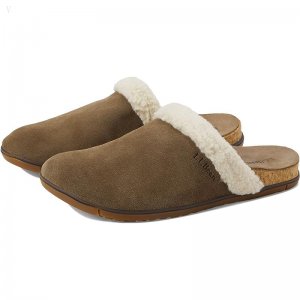 L.L.Bean Go Anywhere Cozy Clog Dark Cement/Natural ID-m2OlQ4nW