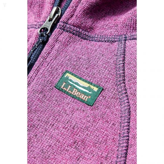 L.L.Bean Bean\'s Sweater Fleece Full Zip (Infant) Dark Mulberry ID-ujrVJaBa