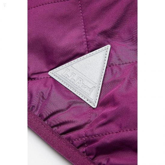 L.L.Bean Mountain Bound Reversible Hooded Jacket (Infant) Plum Grape/Magenta Haze ID-TcAS120g