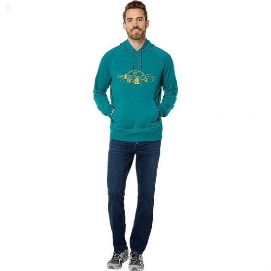 L.L.Bean Camp Hoodie Graphic Regular Warm Teal/National Parks ID-gWsaAUVB