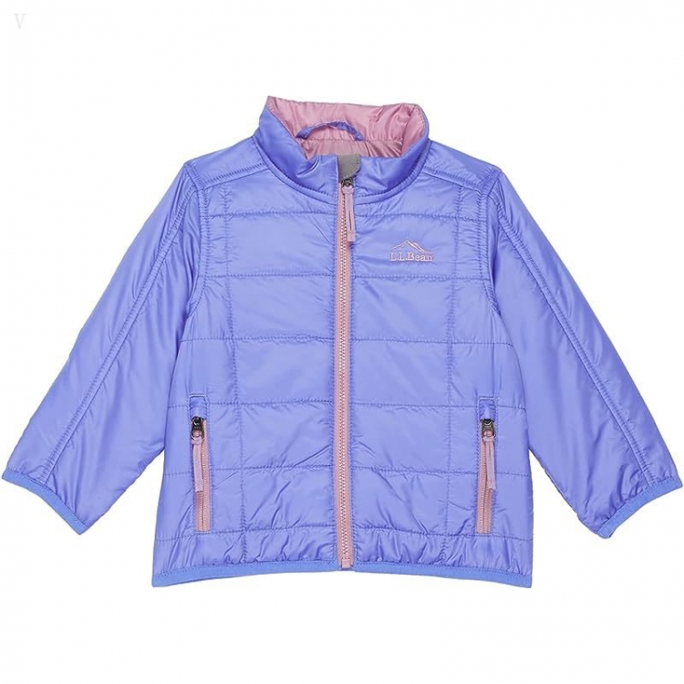 L.L.Bean Primaloft Packaway Jacket (Toddler) Icy Violet ID-527cgve3 - Click Image to Close