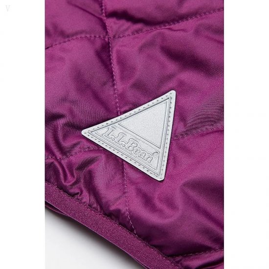 L.L.Bean Mountain Bound Reversible Hooded Jacket (Little Kids) Plum Grape/Magenta Haze ID-5hfdIem1