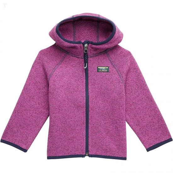 L.L.Bean Bean's Sweater Fleece Full Zip (Infant) Dark Mulberry ID-ujrVJaBa