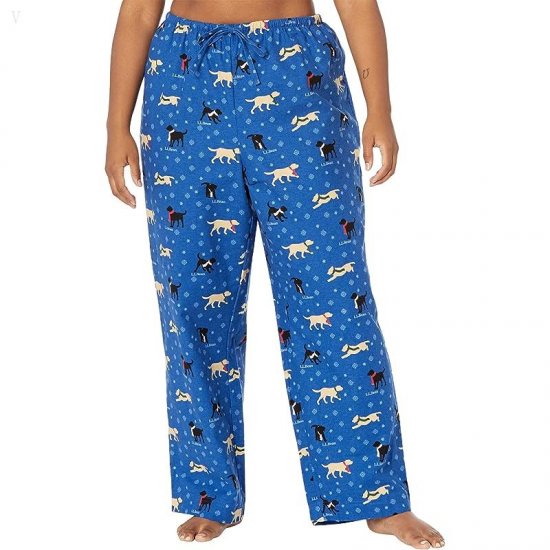 L.L.Bean Plus Size Cozy Pajama Set Print Bright Blue Dog ID-rAYTr9hx