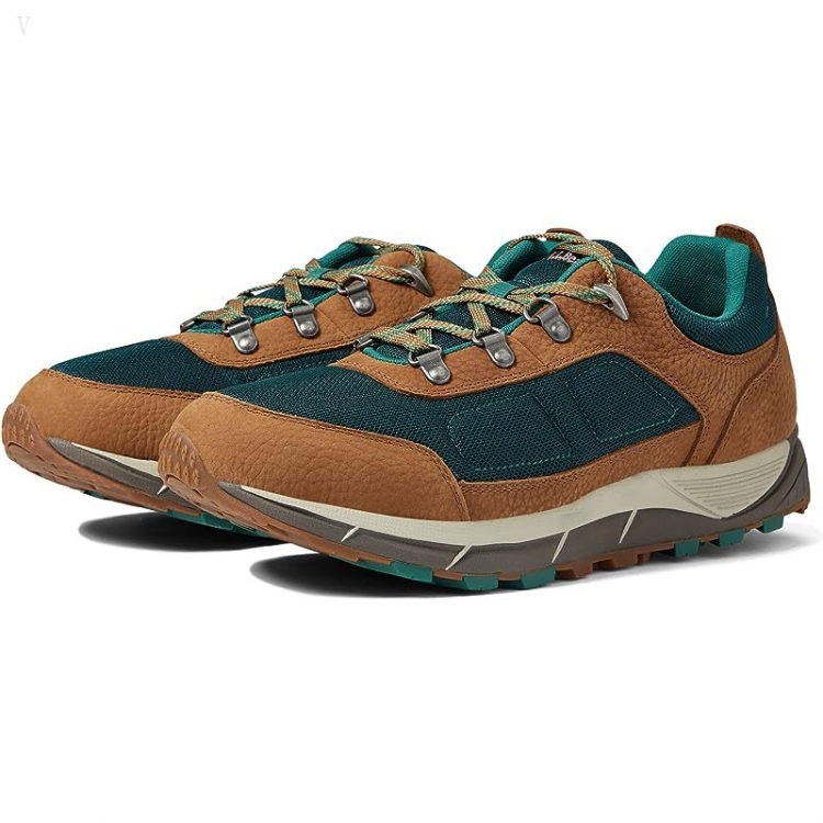 L.L.Bean Mountain Classic Hiker Ventilated Toasted Coconut/Deepest Green ID-9GtPpQut - Click Image to Close