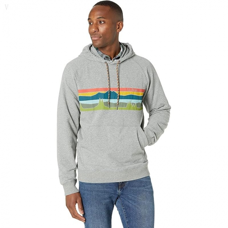 L.L.Bean Camp Hoodie Graphic Regular Gray Heather/Colorbars ID-Y12ZQjUL - Click Image to Close