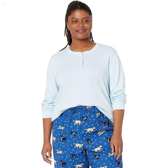 L.L.Bean Plus Size Cozy Pajama Set Print Bright Blue Dog ID-rAYTr9hx