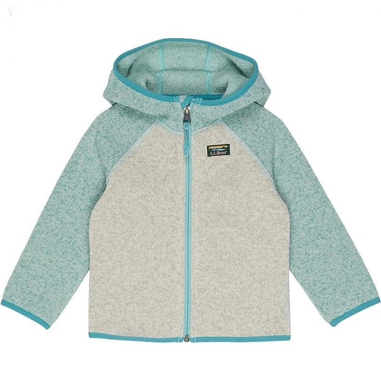 L.L.Bean Bean's Sweater Fleece Full Zip Color-Block (Infant) Light Mint/Sailcloth ID-xRMVlUFR - Click Image to Close