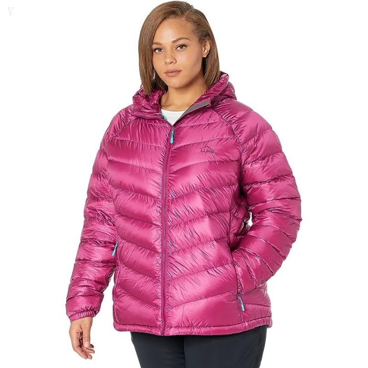 L.L.Bean Plus Size Ultralight 850 Down Hooded Jacket Sugarplum ID-ot2gNsQH - Click Image to Close