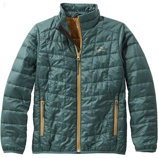 L.L.Bean PrimaLoft Packaway Jacket (Big Kids) Spruce Pine ID-gGPYtGdW