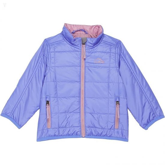 L.L.Bean Primaloft Packaway Jacket (Infant) Icy Violet ID-0MGLNlJQ