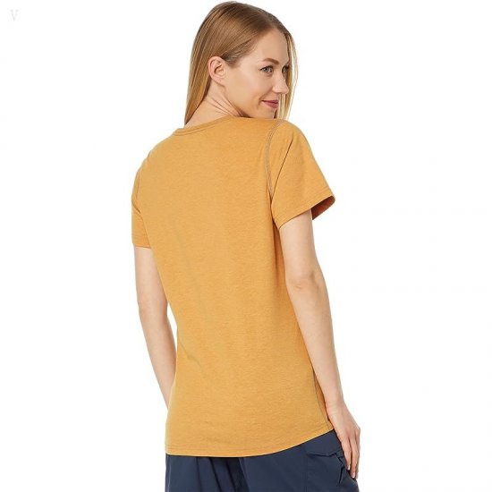 L.L.Bean Insect Shield Field Tee Short Sleeve Dark Amber ID-lEKZz3YC